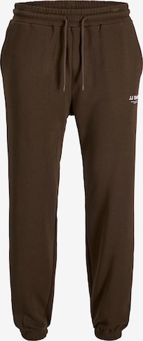 Pantalon 'JPSTKANE SOHO' JACK & JONES en marron : devant