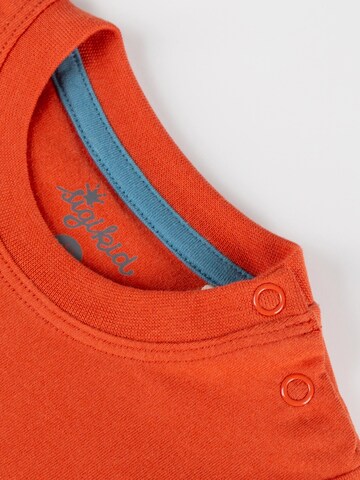 SIGIKID Shirt 'Langarmshirt' in Orange