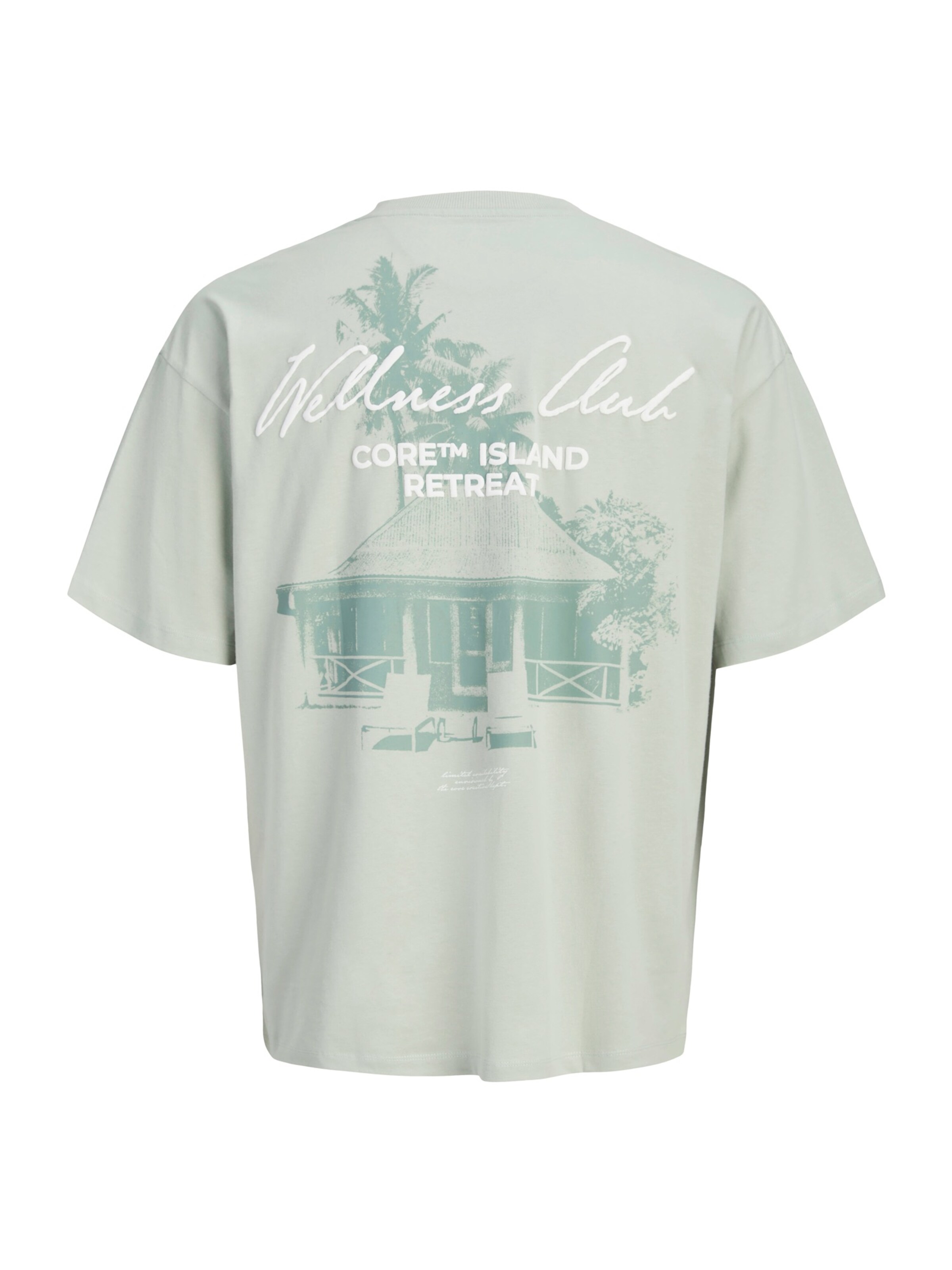 Jack & Jones Junior Shirt 'JCOETERNA' in Green