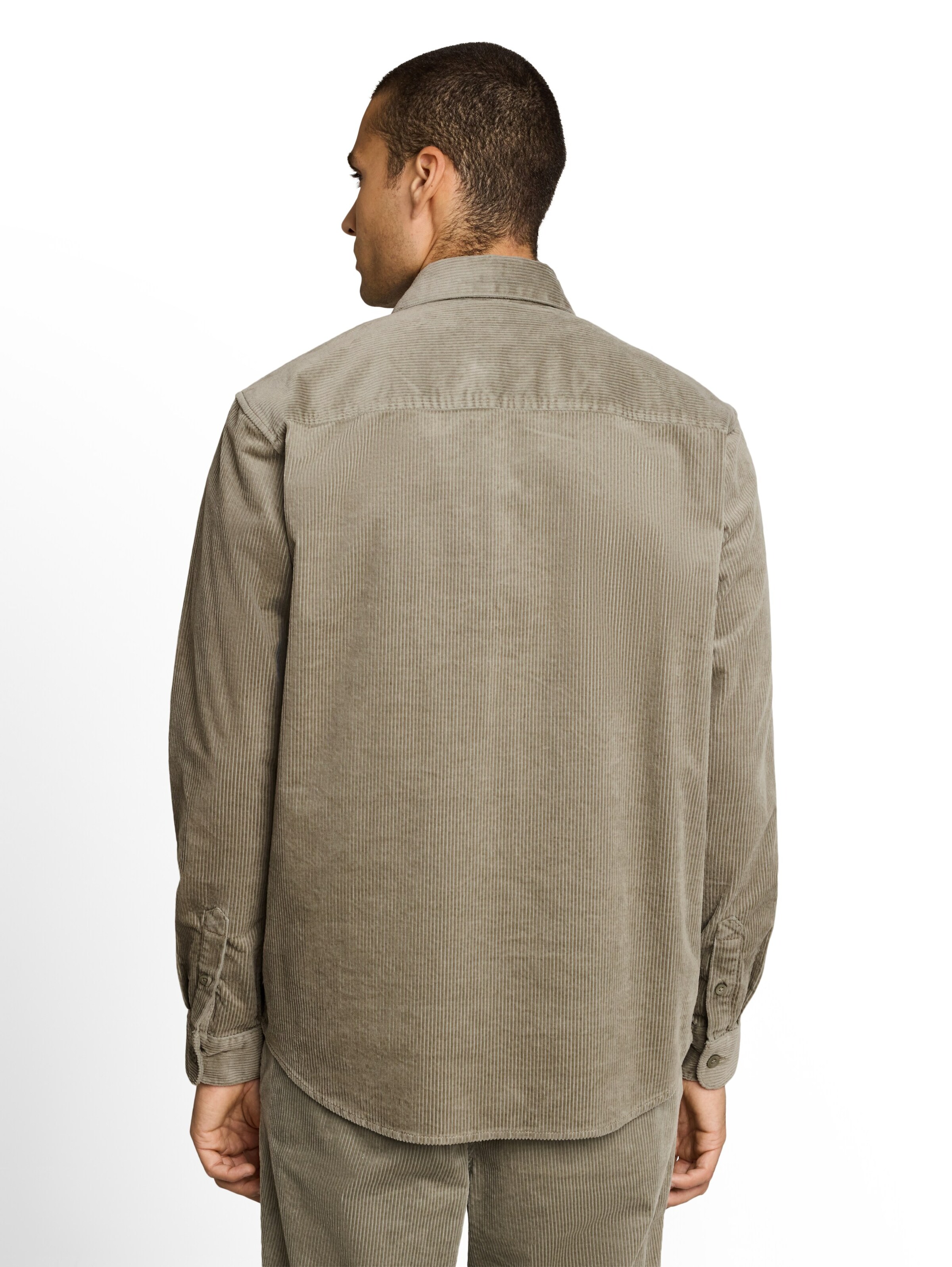 TOM TAILOR DENIM Tavaline suurus Triiksärk, värv roheline
