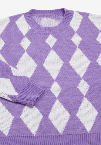 FENIA Sweater in Purple