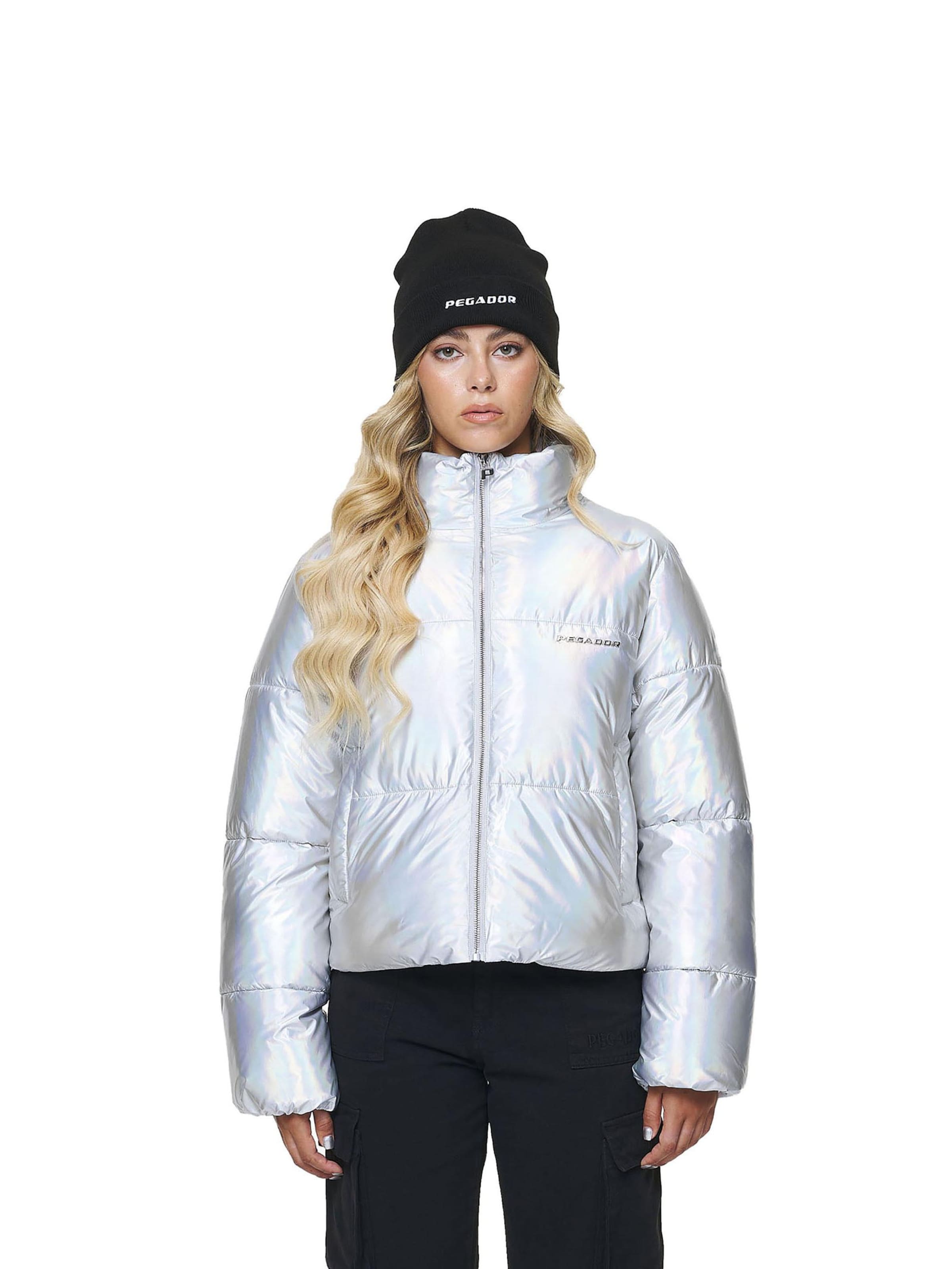 Pegador Winter Jacket 'Sugar Future' in Silver: front