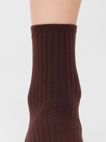 CALZEDONIA Socks in Brown