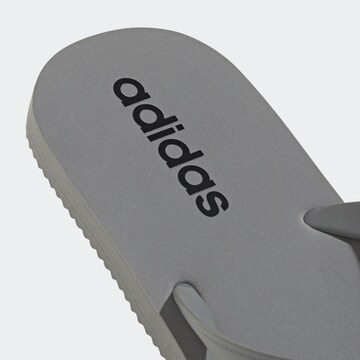 ADIDAS SPORTSWEAR Zehentrenner 'KEITAKI ALPHA' in Grau