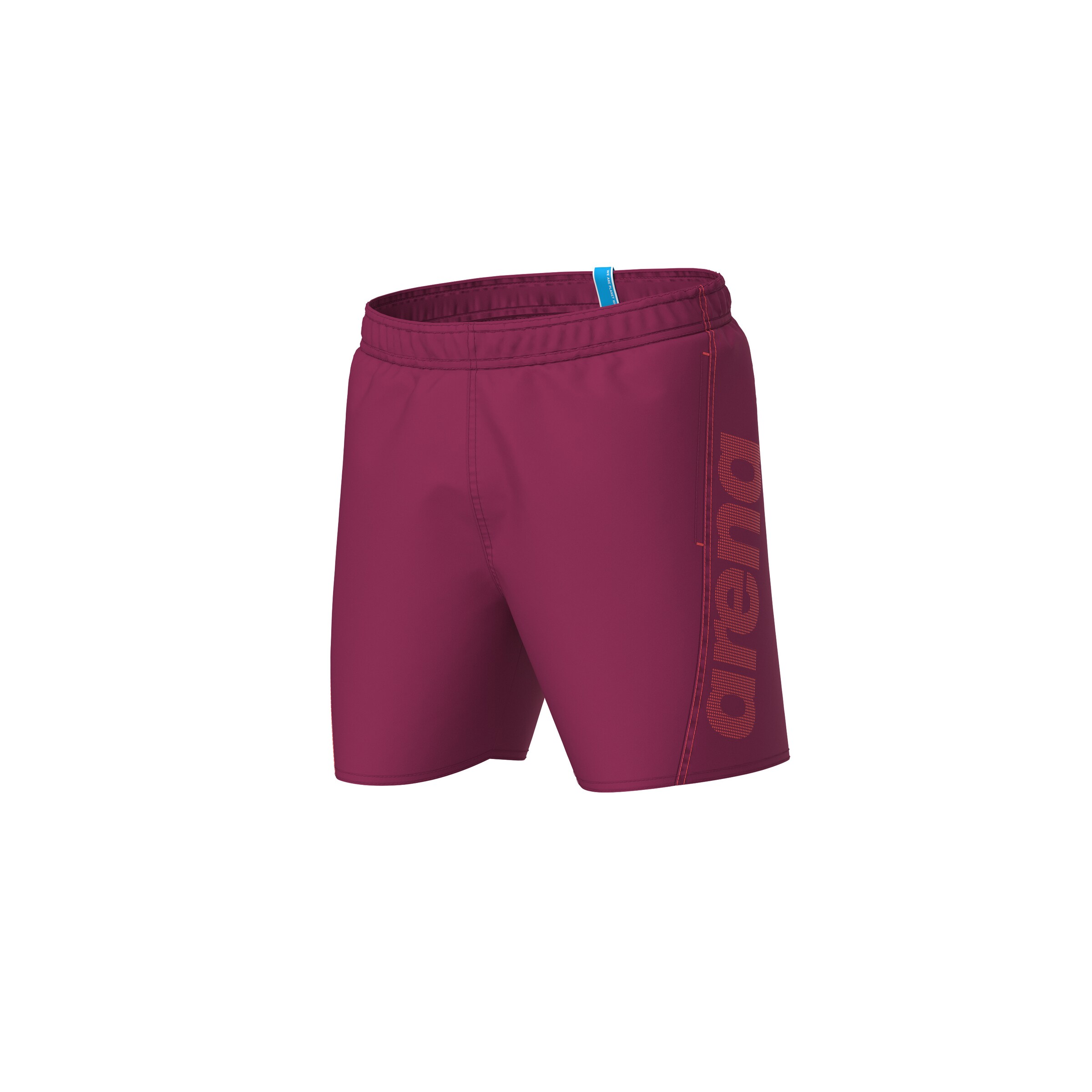 ARENA Swimming Trunks in Purple
