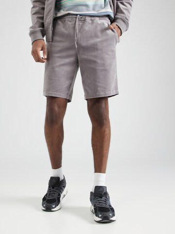 Iriedaily Regular Pants 'Corvin' in Grey: front