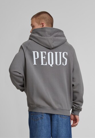 Pequs Zip-Up Hoodie in Grey: front