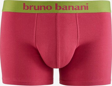 BRUNO BANANI Boxershorts in Groen