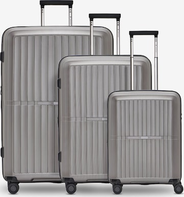 Set di valigie 'Collection 01' di Pactastic in grigio: frontale