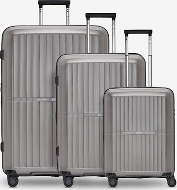 Ensemble de bagages 'Collection 01' Pactastic en gris : devant