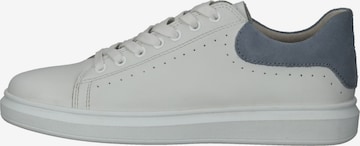 Sneaker di RICHTER in bianco