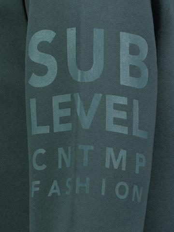 Sublevel Sweatshirt in Grün