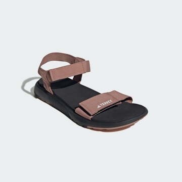 Sandales 'Hydroterra' ADIDAS TERREX en marron
