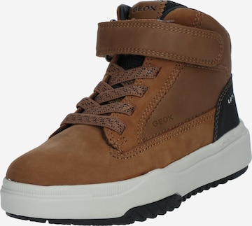 GEOX Stiefel in Braun: Vorderseite