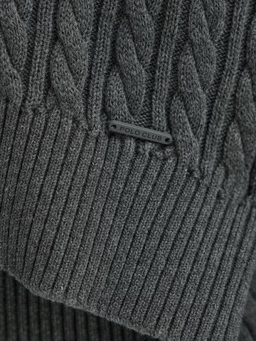 Polo Club Pullover in Grau