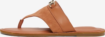 Tongs TOMMY HILFIGER en marron : devant