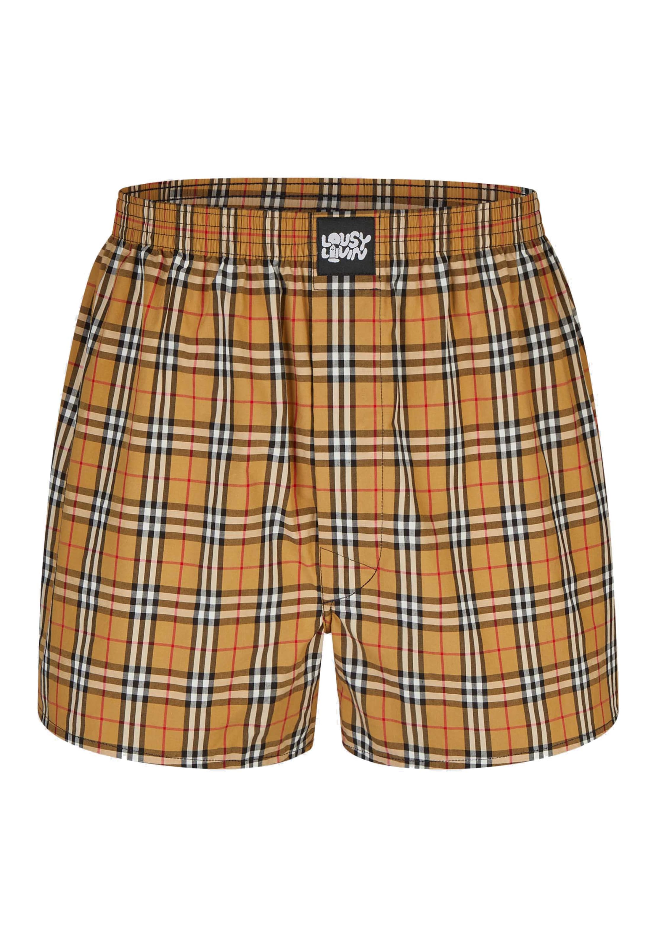 Lousy Livin Boxer shorts 'Check' in Blue