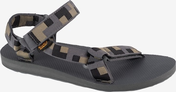 Sandales de randonnée 'Original Universal' TEVA en gris : devant