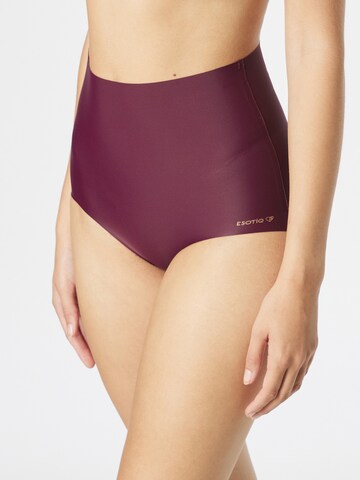 ESOTIQ Panty in Brown: front