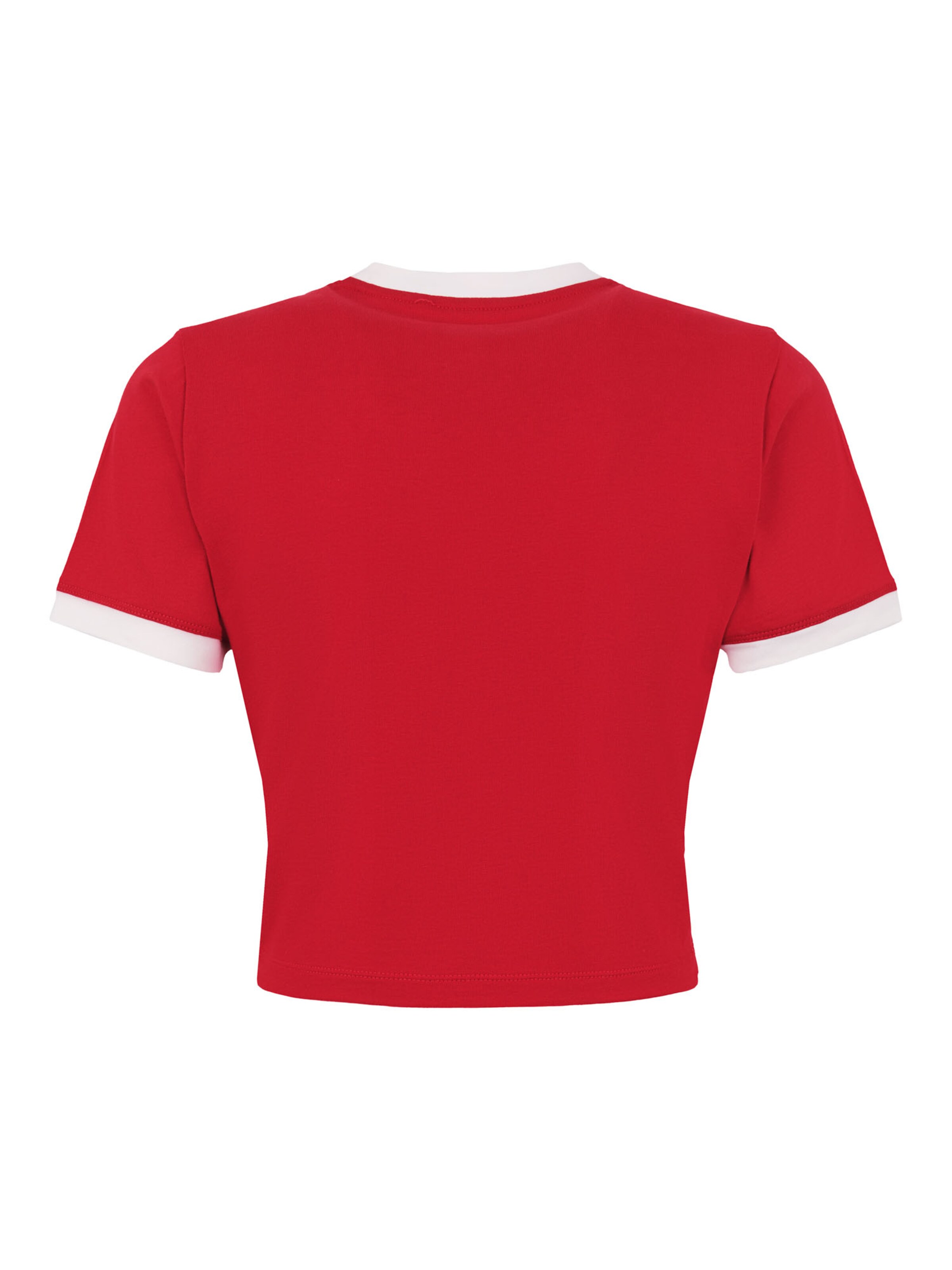 sarkans DICKIES T-Krekls 'LEWISTOWN'