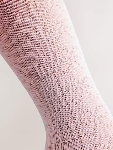 Baker by Ted Baker Panty's in Roze