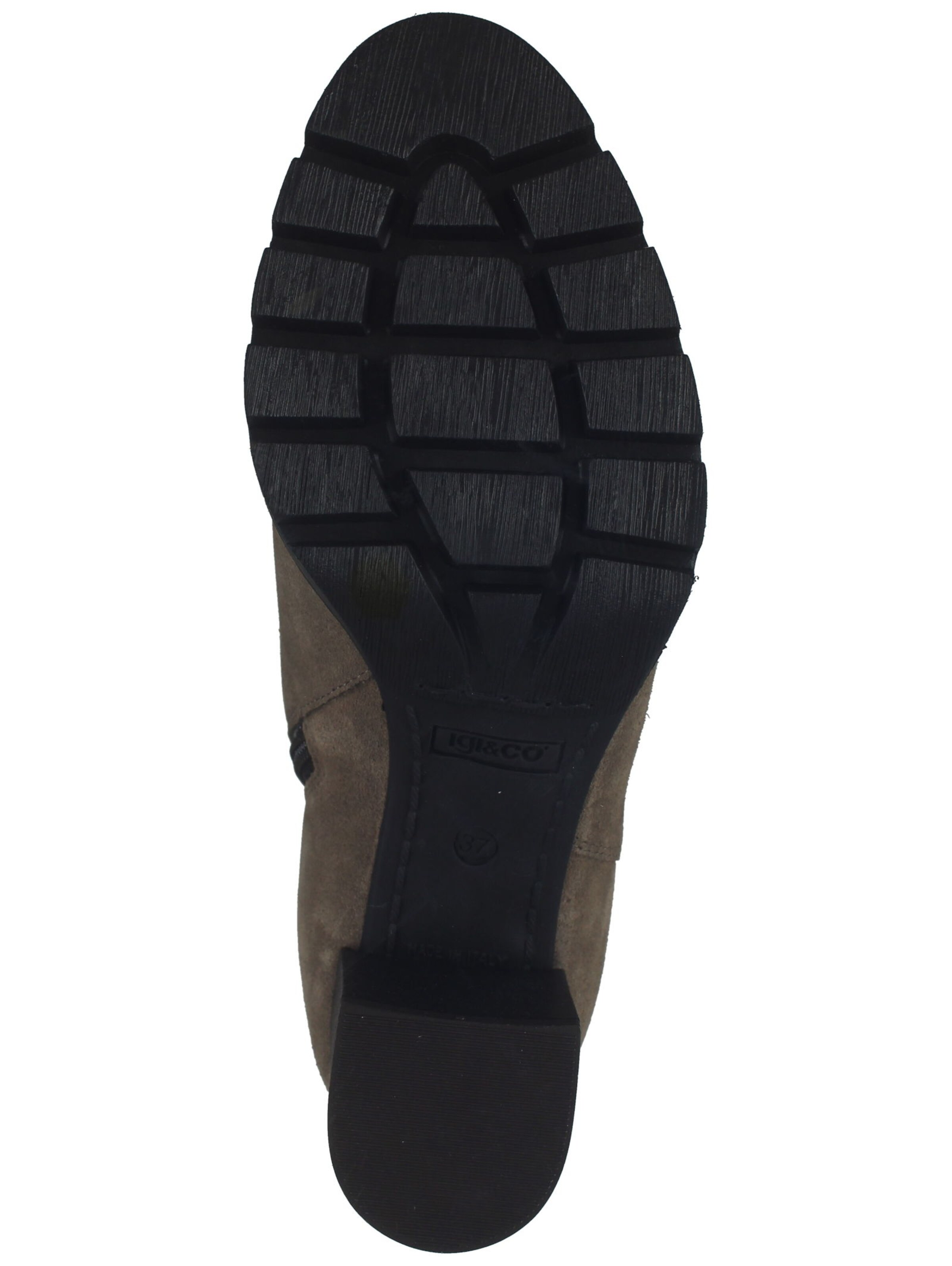 IGI&CO Stiefelette in Braun