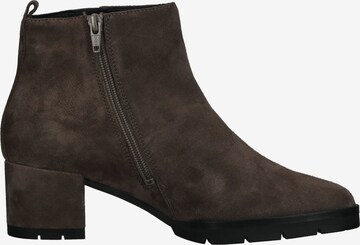 Högl Ankle Boots in Brown