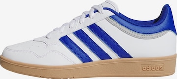 Sneaker bassa 'Hoops 4.0' di ADIDAS SPORTSWEAR in bianco: frontale