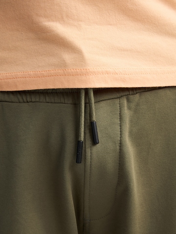 Petrol Industriesregular Cargo hlače - zelena boja