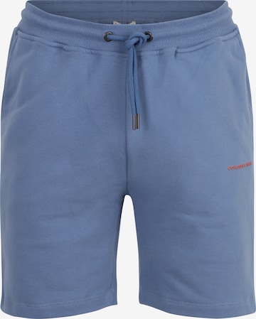 COLOURS & SONS Pants in Blue: front