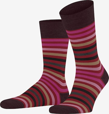 FALKE Socken 'Tinted Stripe' in Rot: Vorderseite