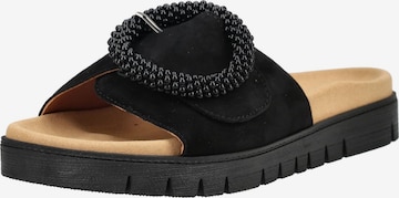 Zoccoletto di GABOR in nero: frontale