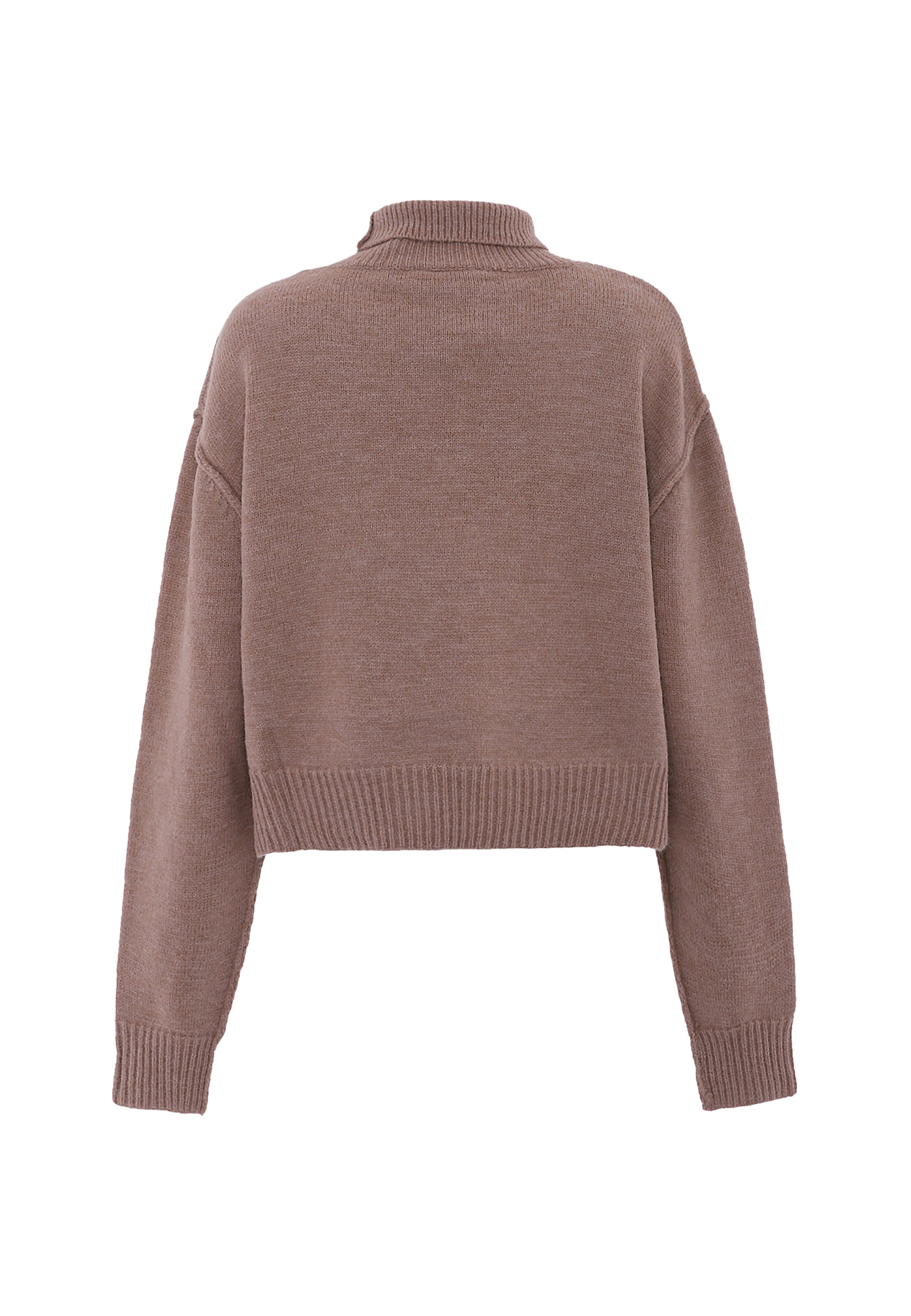 aleva Sweater in Brown