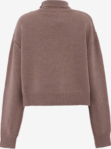 aleva Sweater in Brown