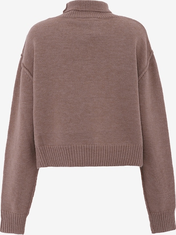 Pull-over aleva en marron