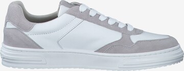 Baskets basses TAMARIS en gris