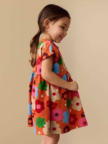 Next Kleid in Orange