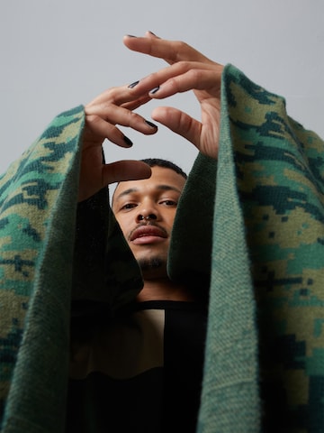 ABOUT YOU x Benny Cristo Scarf 'Tim' in Green