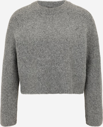 Vero Moda Petite Neulepaita 'VMBANG' värissä harmaa: etupuoli