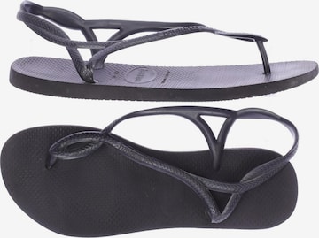 HAVAIANAS Sandals & High-Heeled Sandals in 39 in Black: front