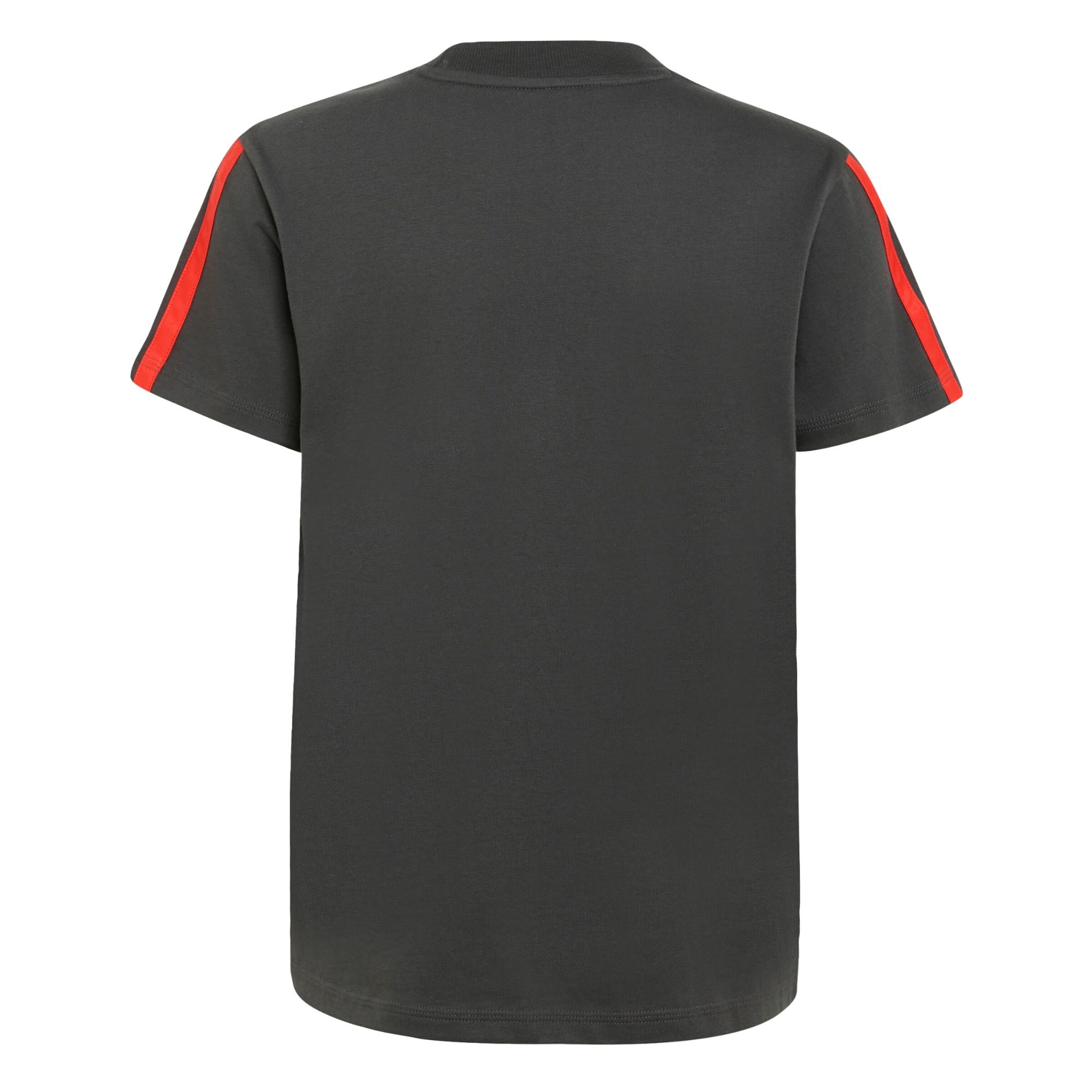 T-Shirt fonctionnel 'Audi Formula One Team' ADIDAS PERFORMANCE en noir