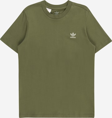 ADIDAS ORIGINALS - Camiseta 'Adicolor' en verde: frente