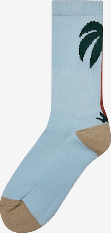 Mister Tee Socks 'Fancy Palmtree' in Mixed colors