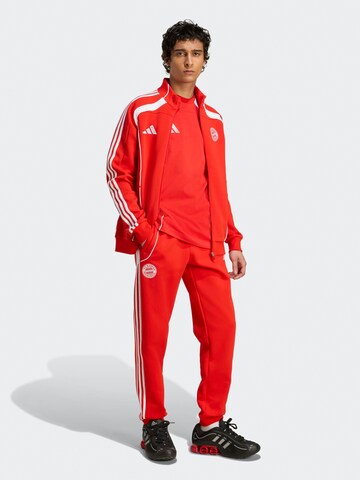ADIDAS PERFORMANCE Tapered Sporthose 'FC Bayern UBP' in Rot