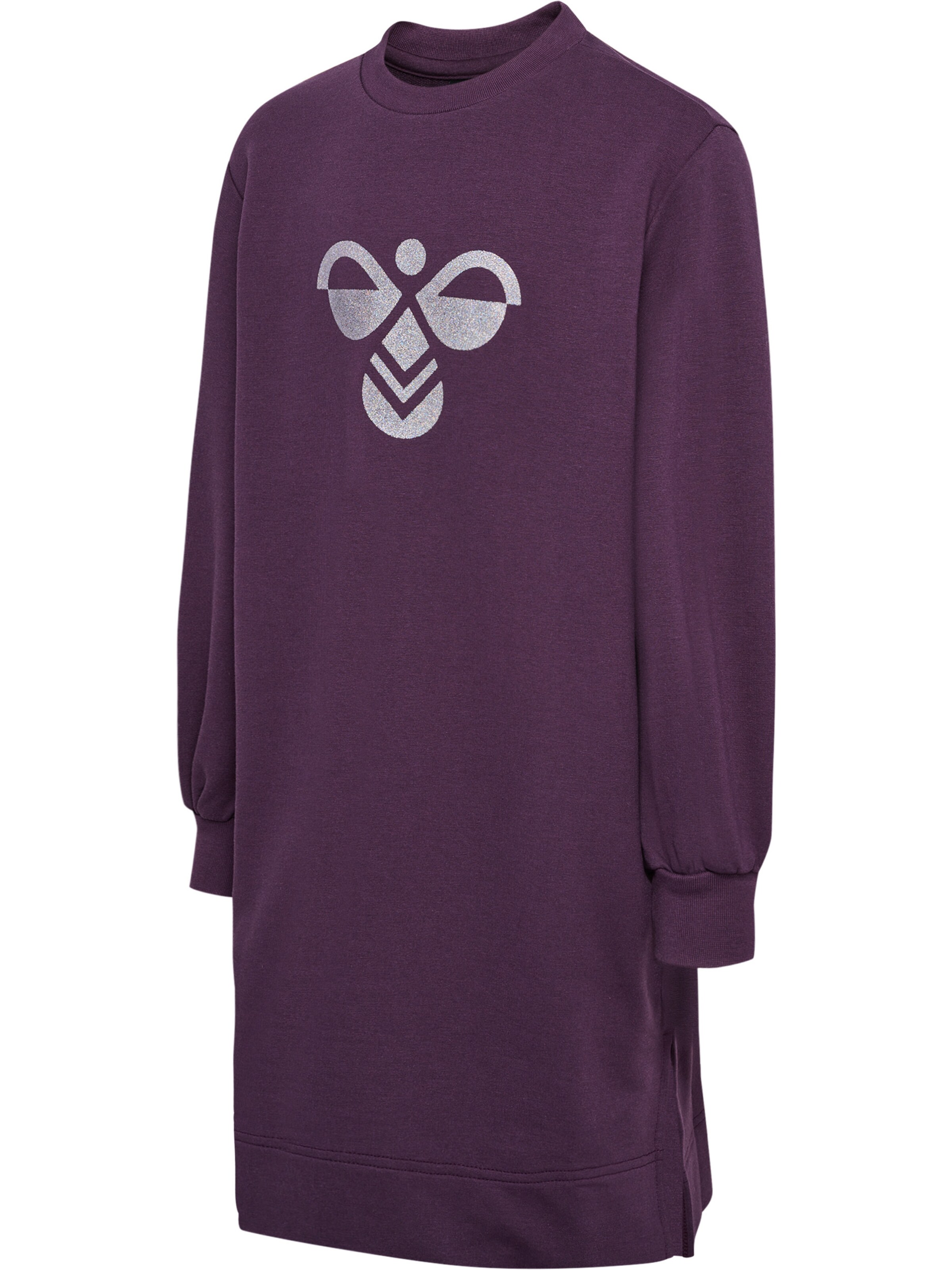 Hummel Sports dress 'ANE' in Purple