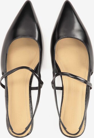 Kazar Studio Ballet Flats with Strap in Black