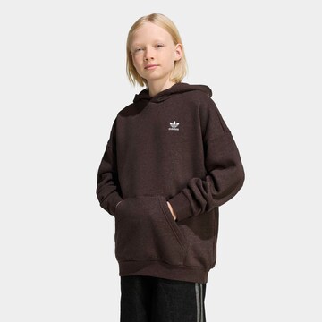 ADIDAS ORIGINALS Sweatshirt in Braun: Vorderseite