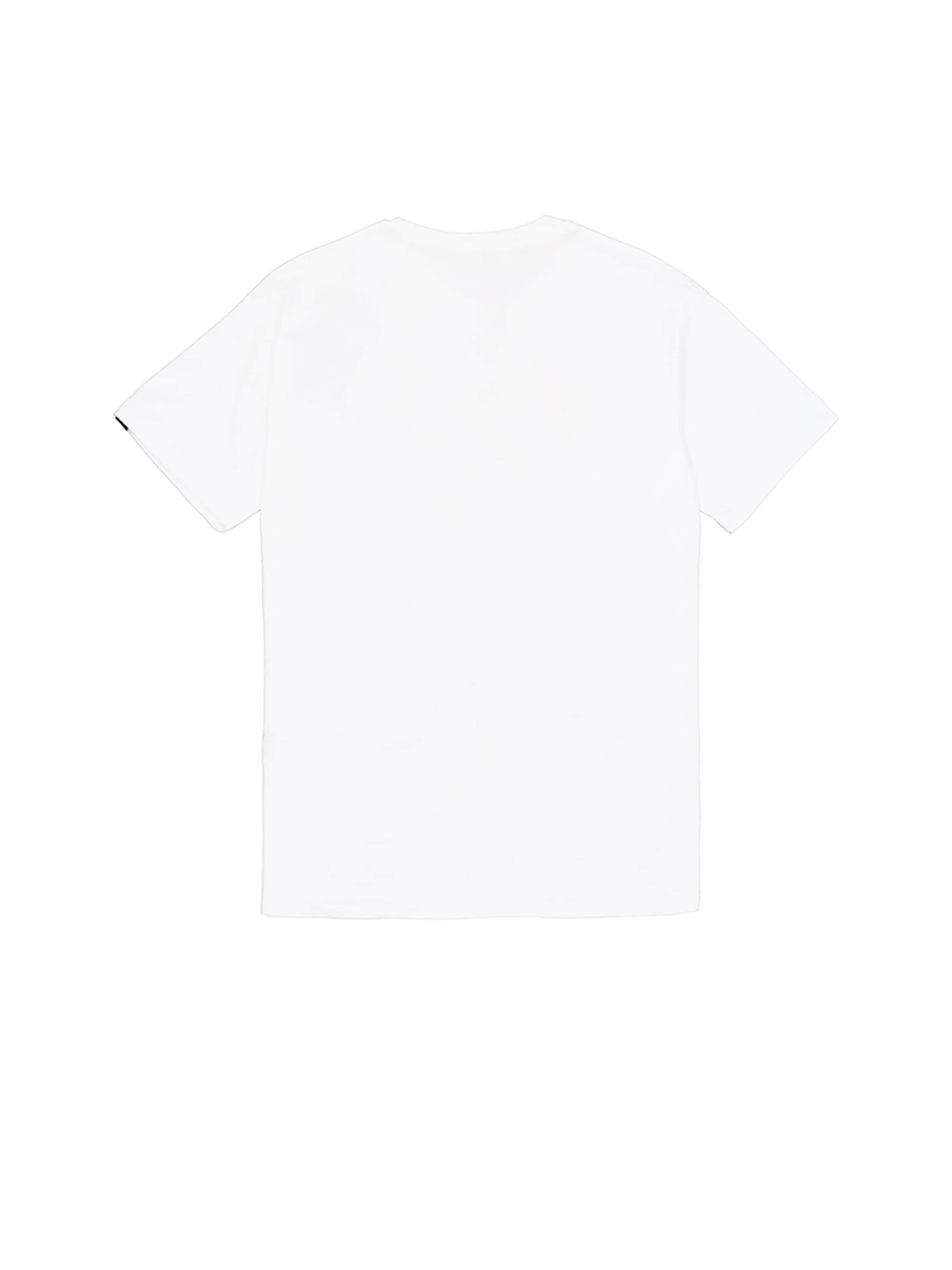 T-Shirt 'Satin' ALPHA INDUSTRIES en blanc