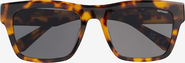Superdry Eyewear Sonnenbrille in Braun: Vorderseite