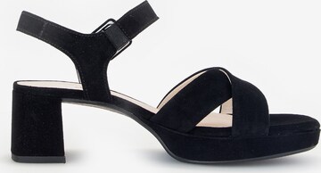 GABOR Strap Sandals in Black